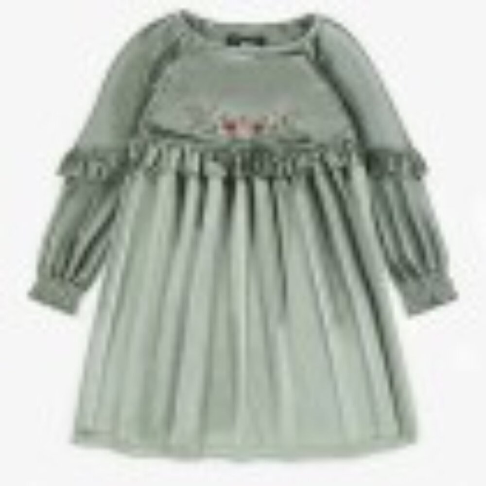 Girl's Crushed Velvet Dress with Embroidered Birds
